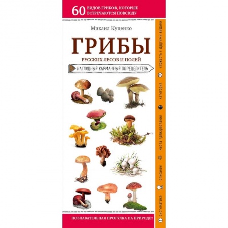 Грибы. Справочники. Определители, книга Грибы русских лесов и полей купить по скидке