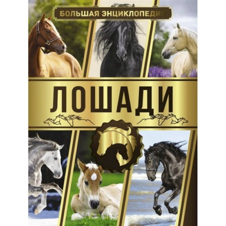 Приусадебное животноводство, книга Большая энциклопедия. Лошади купить по скидке