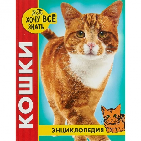 Животный и растительный мир, книга Хочу все знать. Кошки купить по скидке