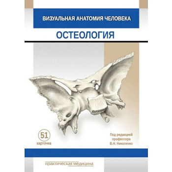 Визуальная анатомия человека. КАРТОЧКИ. Остеология. 51 шт. Визуальная анатомия человека. КАРТОЧКИ. Остеология. 51 шт.