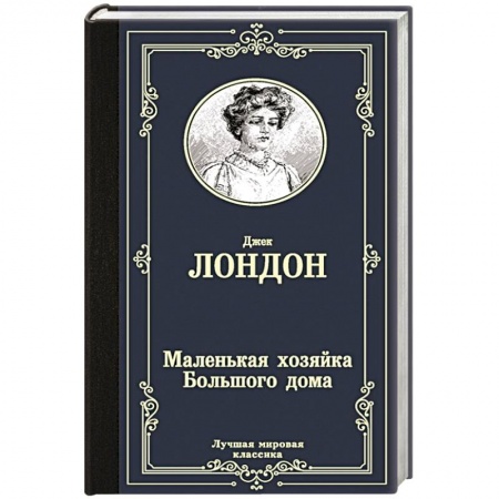 Зарубежная классика, книга Маленькая хозяйка Большого дома купить по скидке
