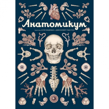 Человек. Земля. Вселенная, книга Анатомикум. Энциклопедия для детей купить по скидке