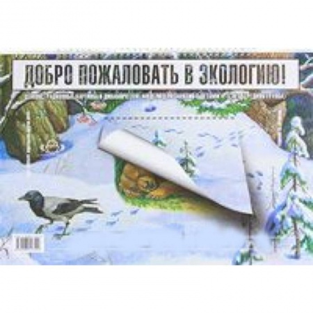 Книги, книга Добро пожаловать в экологию! Демонстрационные картины и динамические модели для занятий с детьми 4-5 лет (Средняяя группа) купить по скидке