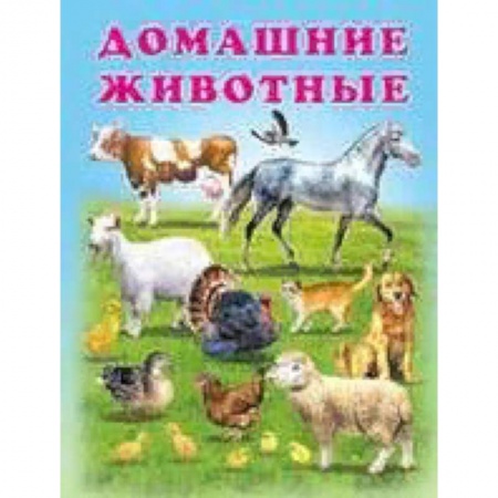Знакомство с миром, развитие малыша, книга Домашние животные купить по скидке