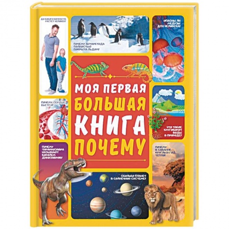 Все обо всем. Универсальные энциклопедии, книга Моя первая большая книга ПОЧЕМУ купить по скидке