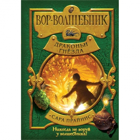 Мистика. Фантастика. Фэнтези, книга Вор-волшебник. Драконьи гнёзда купить по скидке