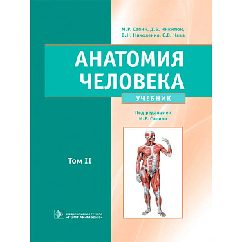 Анатомия человека: Учебник: в 2 т. Т. 2 Анатомия человека: Учебник: в 2 т. Т. 2