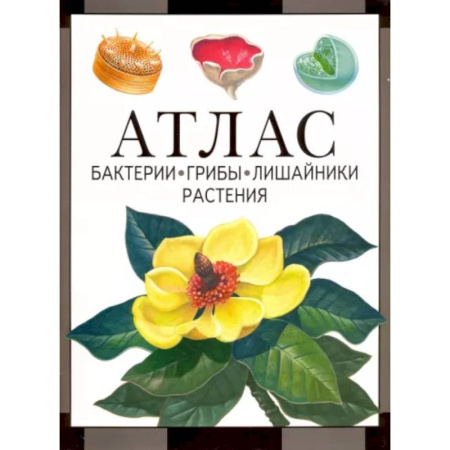 Ботаника, книга Бактерии, грибы, лишайники, растения. Атлас купить по скидке