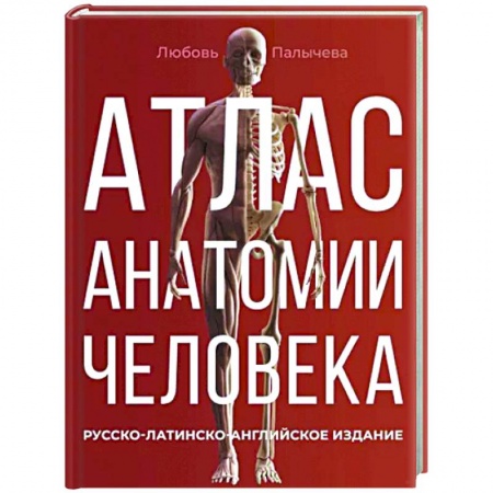 Анатомия и физиология человека, книга Атлас анатомии человека. Русско-латинско-английское издание купить по скидке