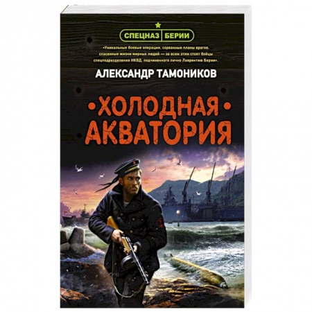 Отечественный мужской детектив, книга Холодная акватория купить по скидке