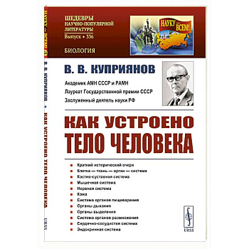 Как устроено тело человека Как устроено тело человека