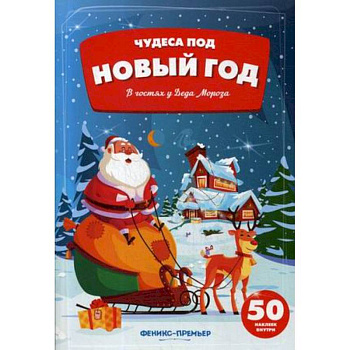 В гостях у Деда Мороза. Книжка с наклейками (50 наклеек)