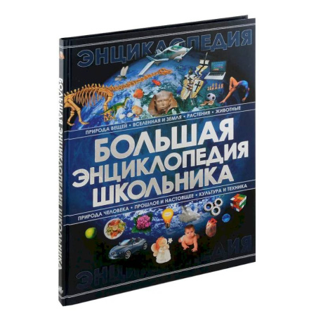 Дополнительные учебные пособия, книга Большая энциклопедия школьника купить по скидке