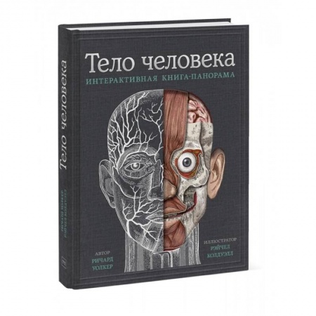 Человек. Земля. Вселенная, книга Тело человека. Интерактивная книга-панорама купить по скидке