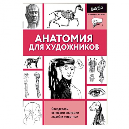 Основы рисования и живописи, книга Анатомия для художников купить по скидке