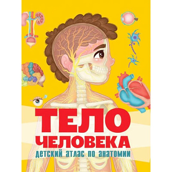 Тело человека. Детский атлас по анатомии Тело человека. Детский атлас по анатомии